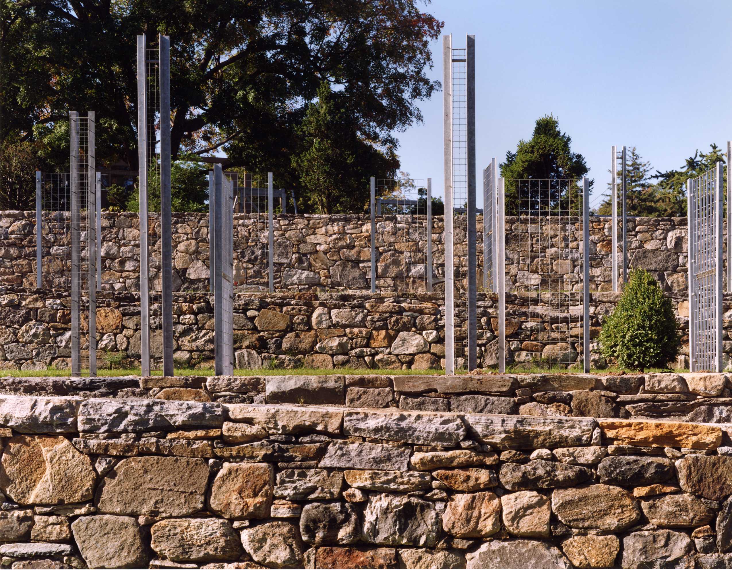 哈佛阿诺德树木园简约展馆-5