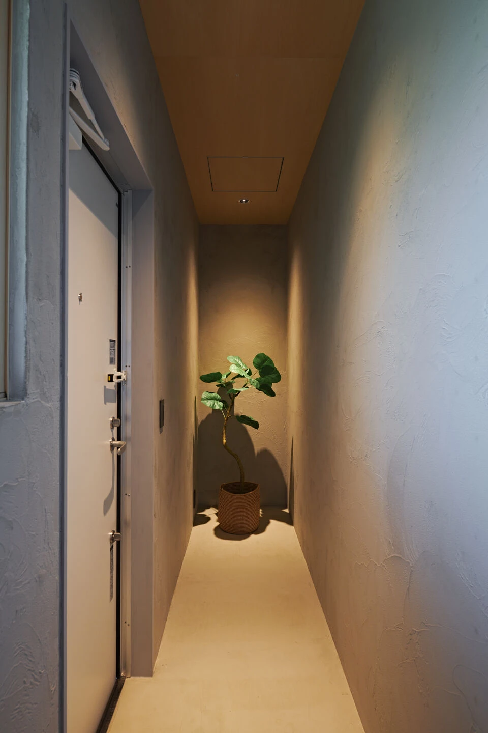 生命节点丨日本岩手丨NoMaDoS-49