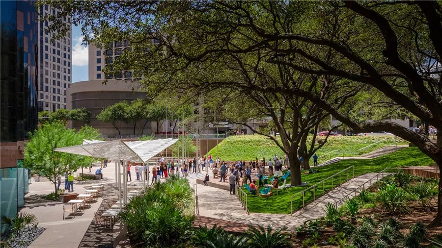 边界植物在景观设计中的妙用-34