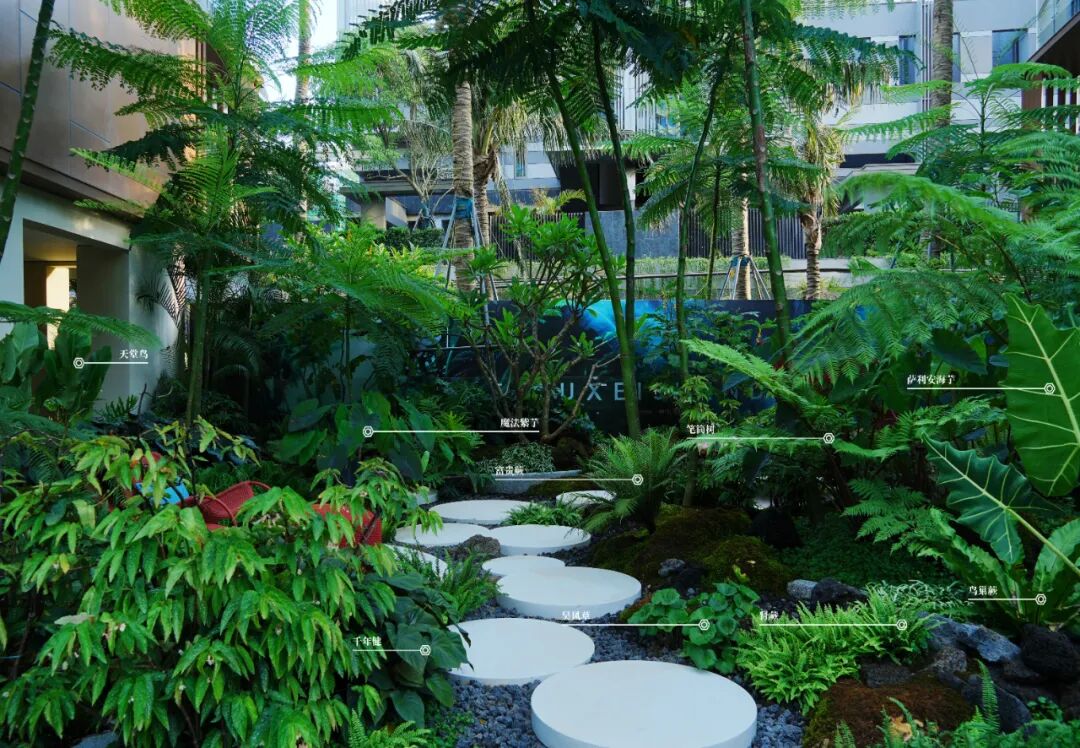 于热带秘境中编织生活美学|江东麓岛阅海澜岸2期花境项目-82