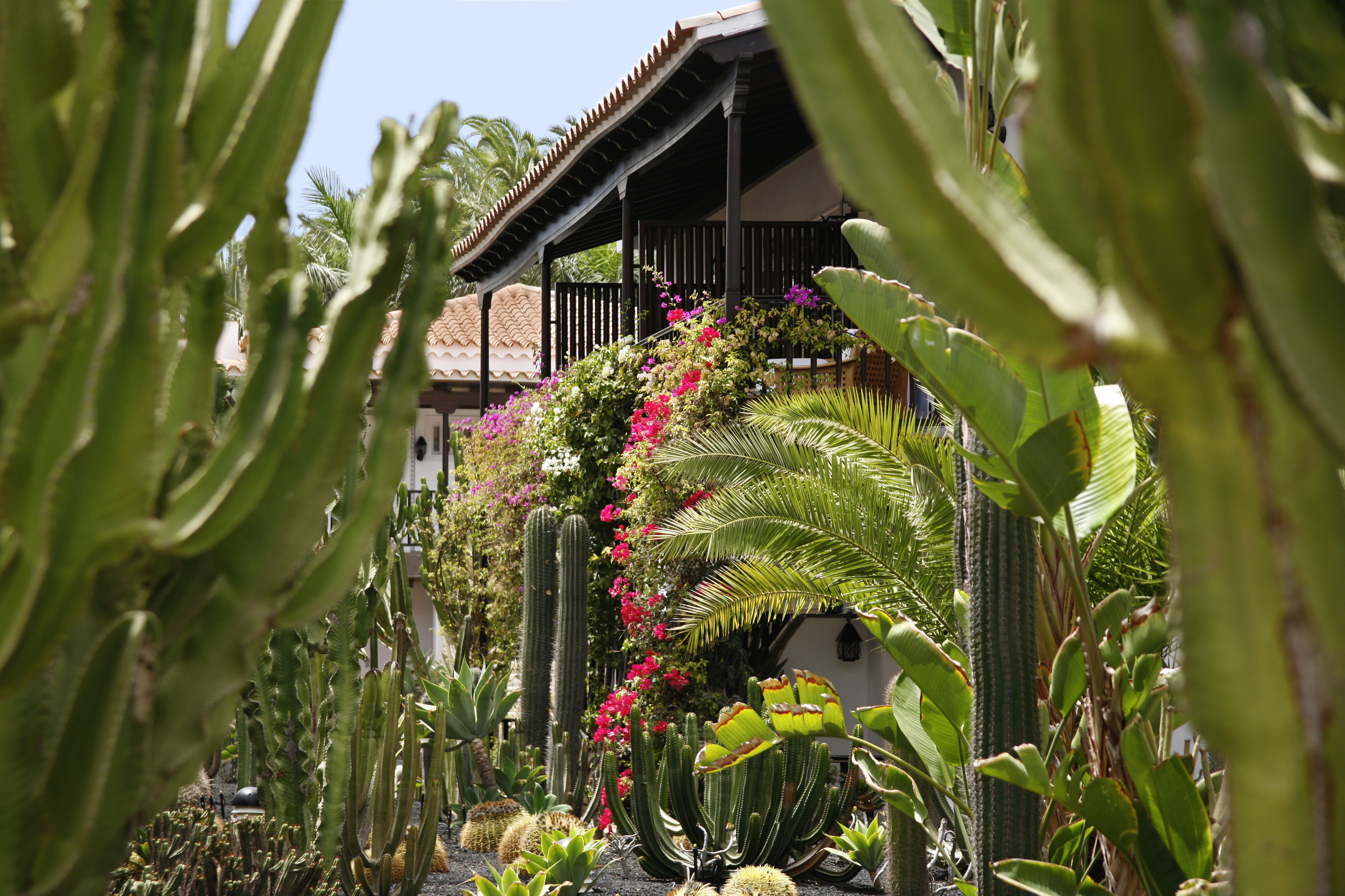 西班牙大加那利岛海滨酒店-1