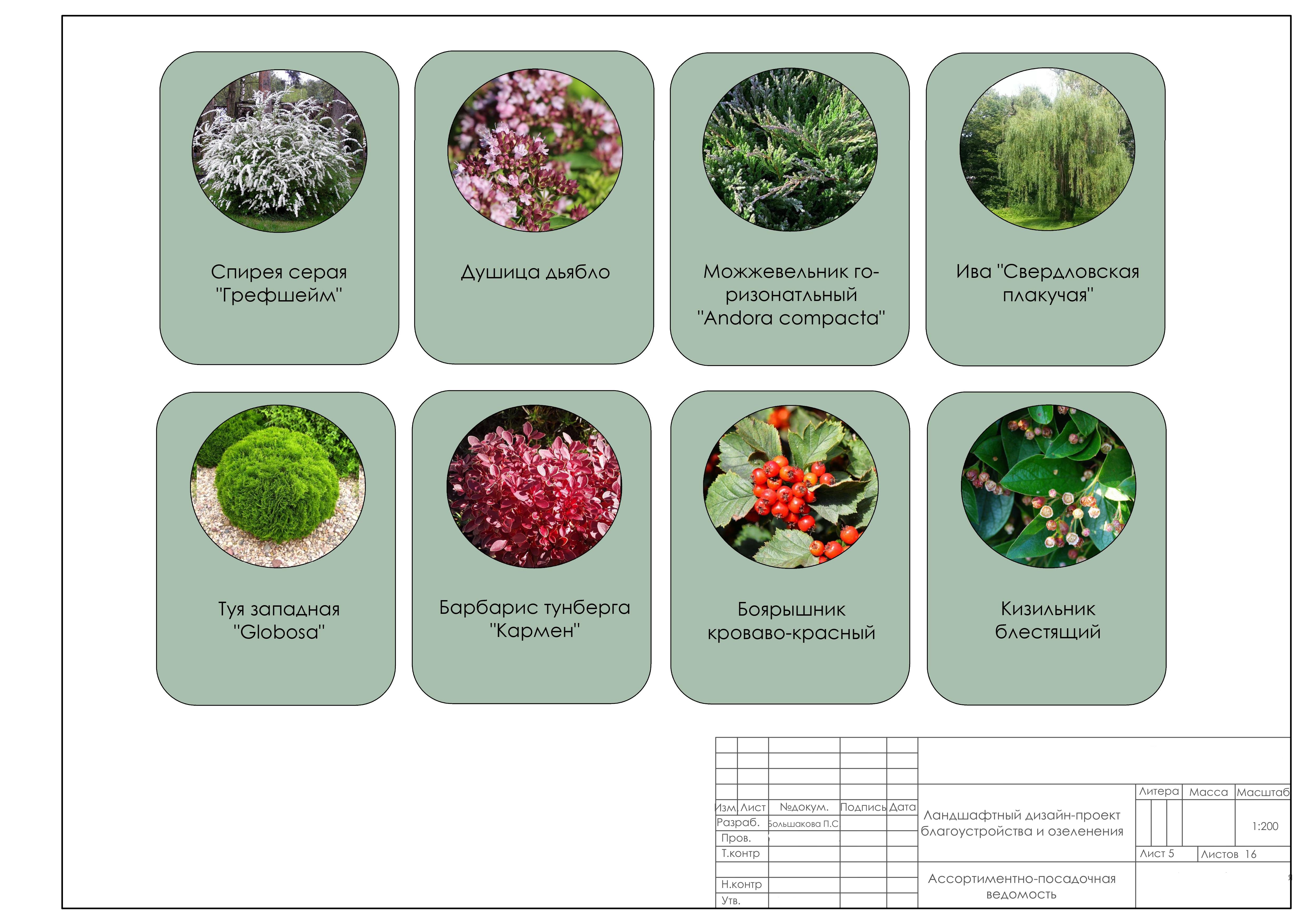 Проект: В объятиях природы-5