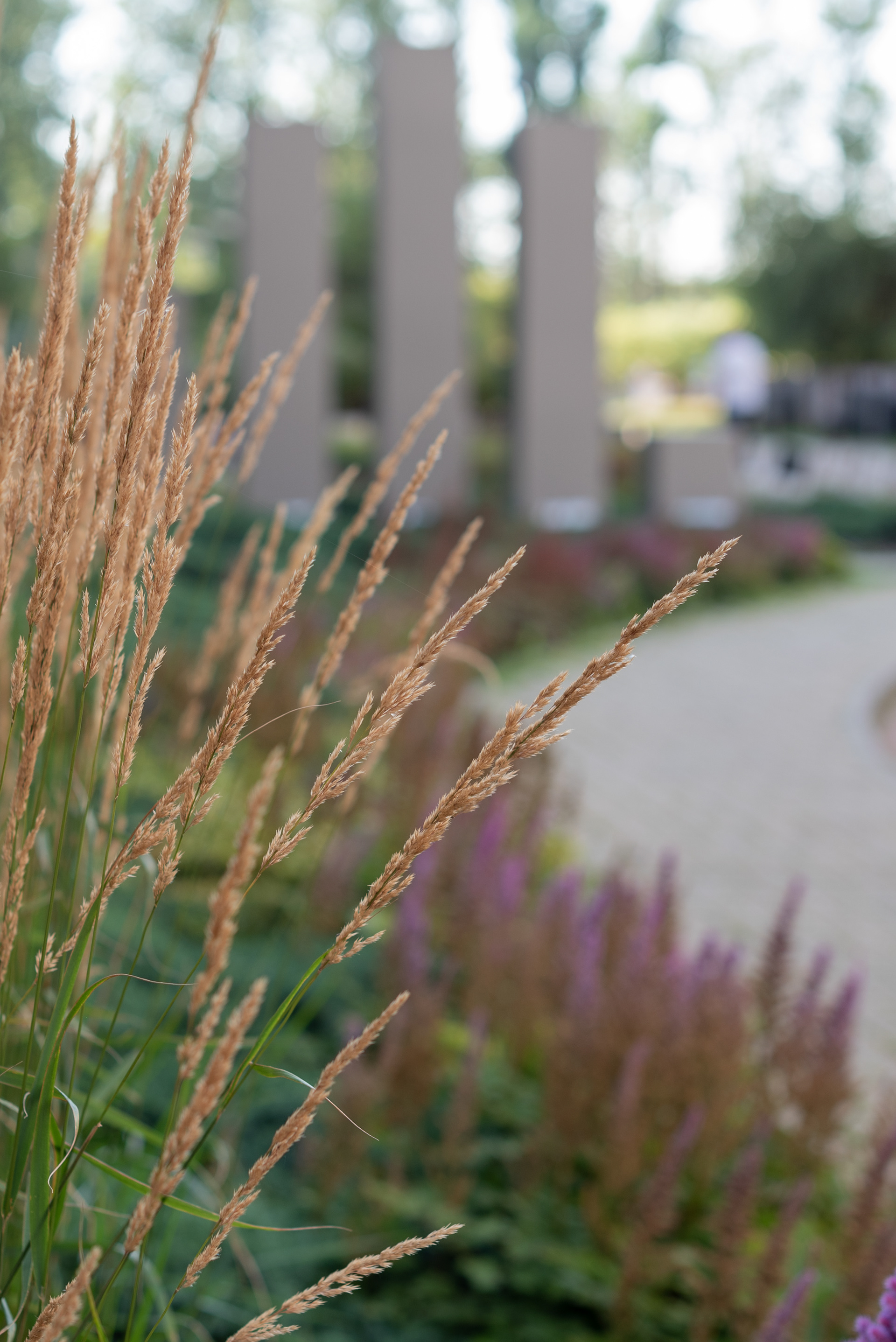 住宅小区绿化项目-33