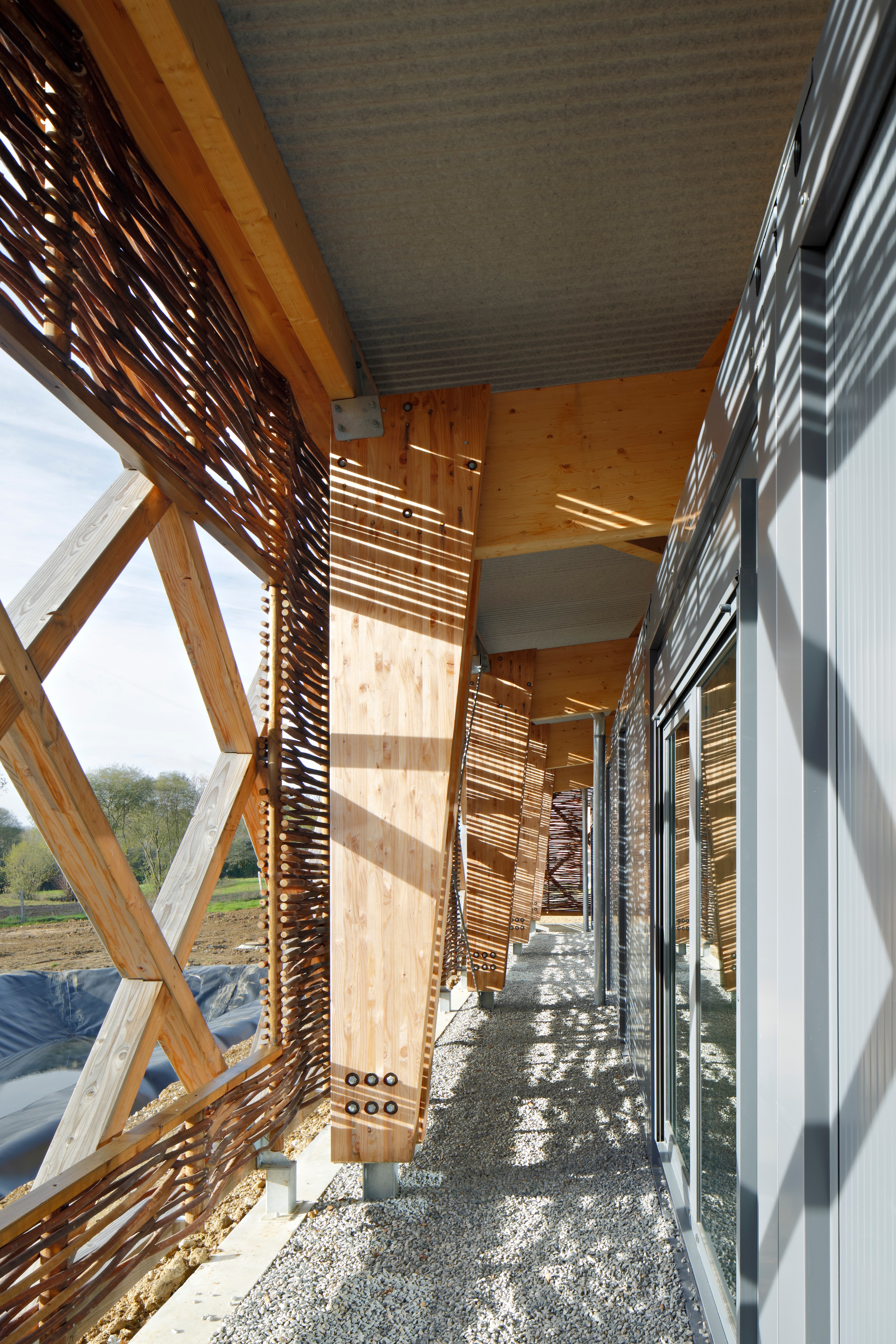 校园绿意 · 蔬菜加工车间与教学结合的设计-54