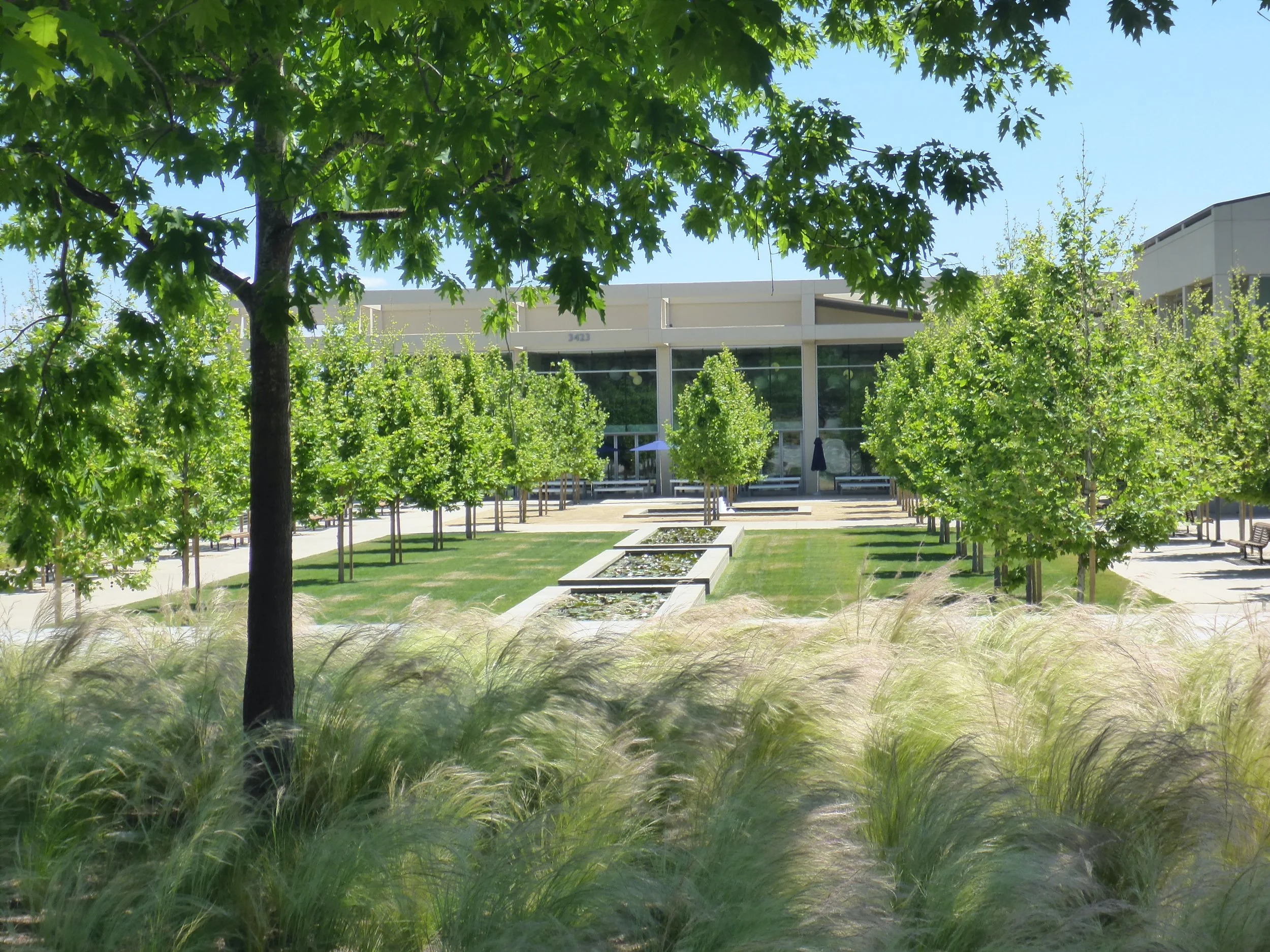 威睿校园

注：VMware一般译为威睿 ，是一家全球著名的云计算和虚拟化技术提供商Campus常见释义为校园  丨Form 4,PWP-28