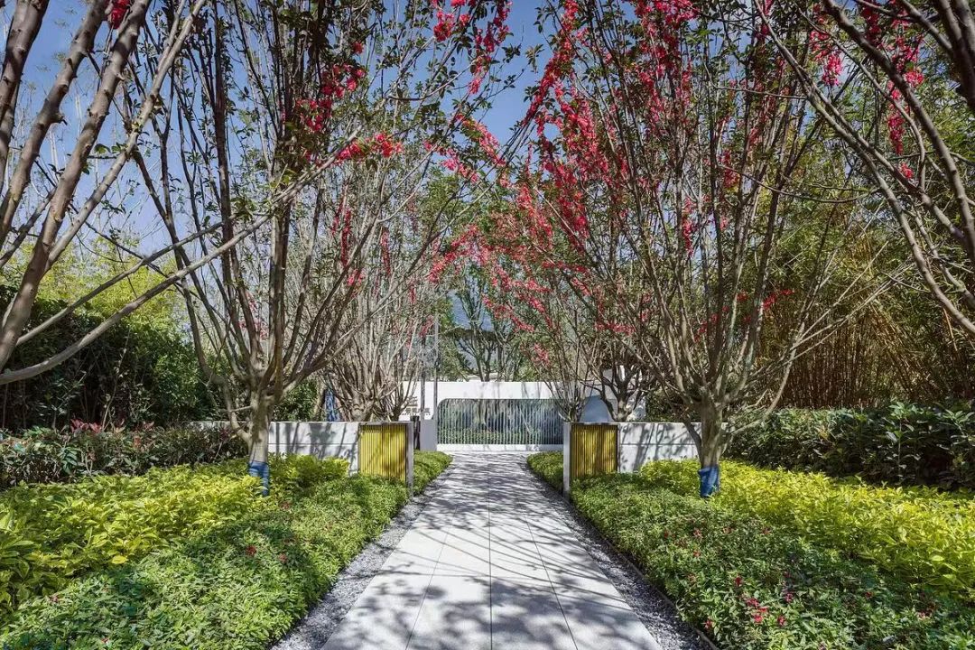 园路列植设计丨上景总工办-91