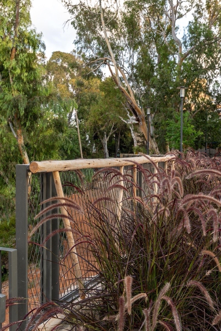 以色列绍尔公园丨Richard Kauffmann,摩西·克瓦什尼-46