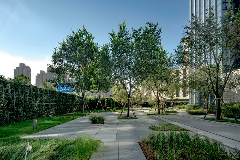 郑州 Sky Mansion丨中国郑州丨L&A 设计集团深圳分公司项目团队 IV-24