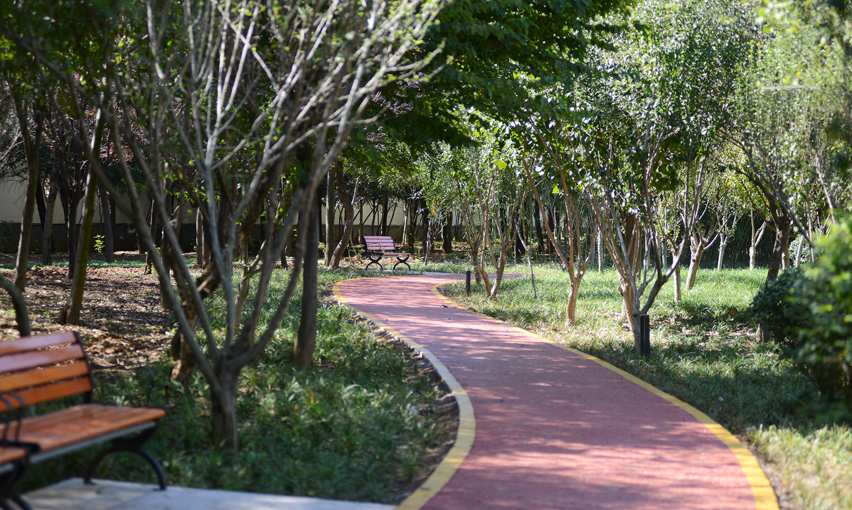 山东枣庄科创绿廊（一期）丨中国枣庄丨同圆集团景观院-33