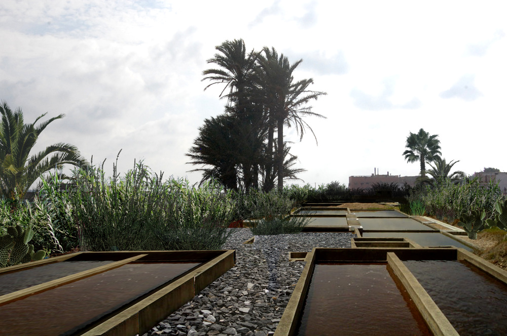 卡萨布兰卡都市农业丨摩洛哥卡萨布兰卡-9