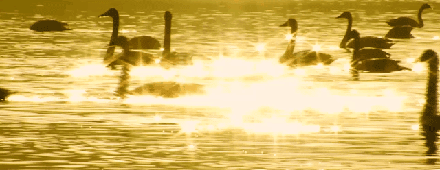 荣成自在澜湾销售中心丨中国山东丨元禾大千(软装),天翊设计(硬装)-8