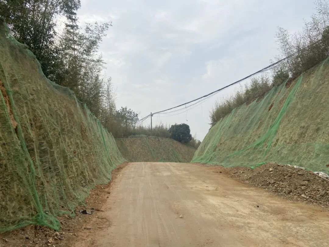 【一线写真】于群峰云海间，绘就生态文旅新画卷-52