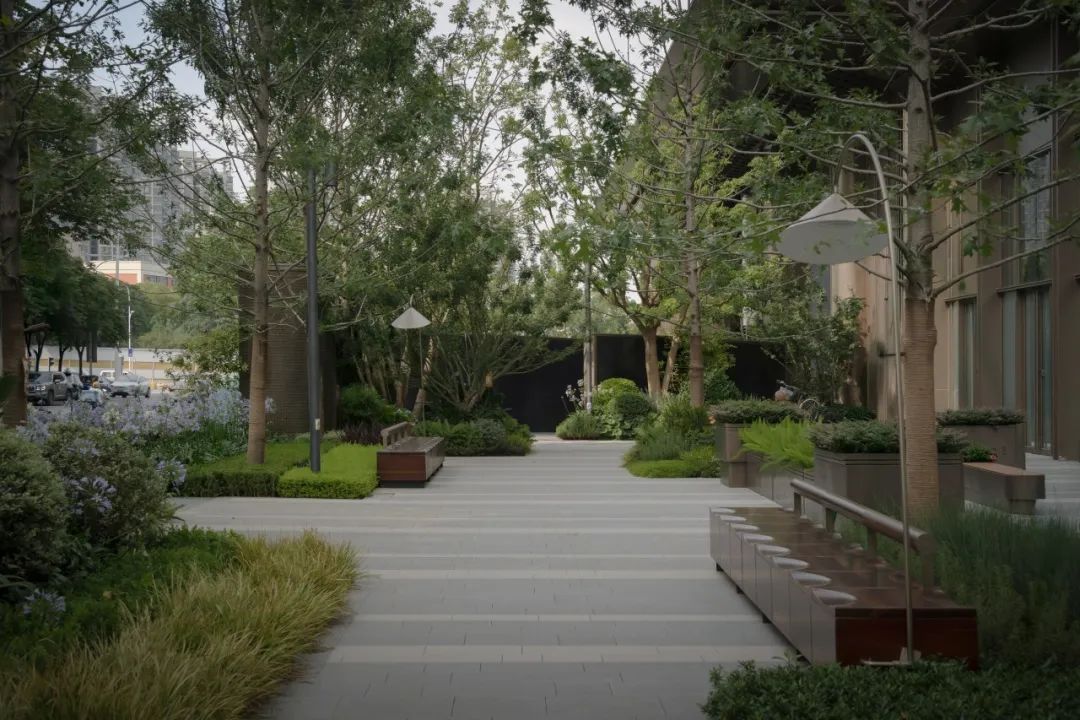 外呈中正之礼内显天然雅趣|未来中心C2·揽境-77