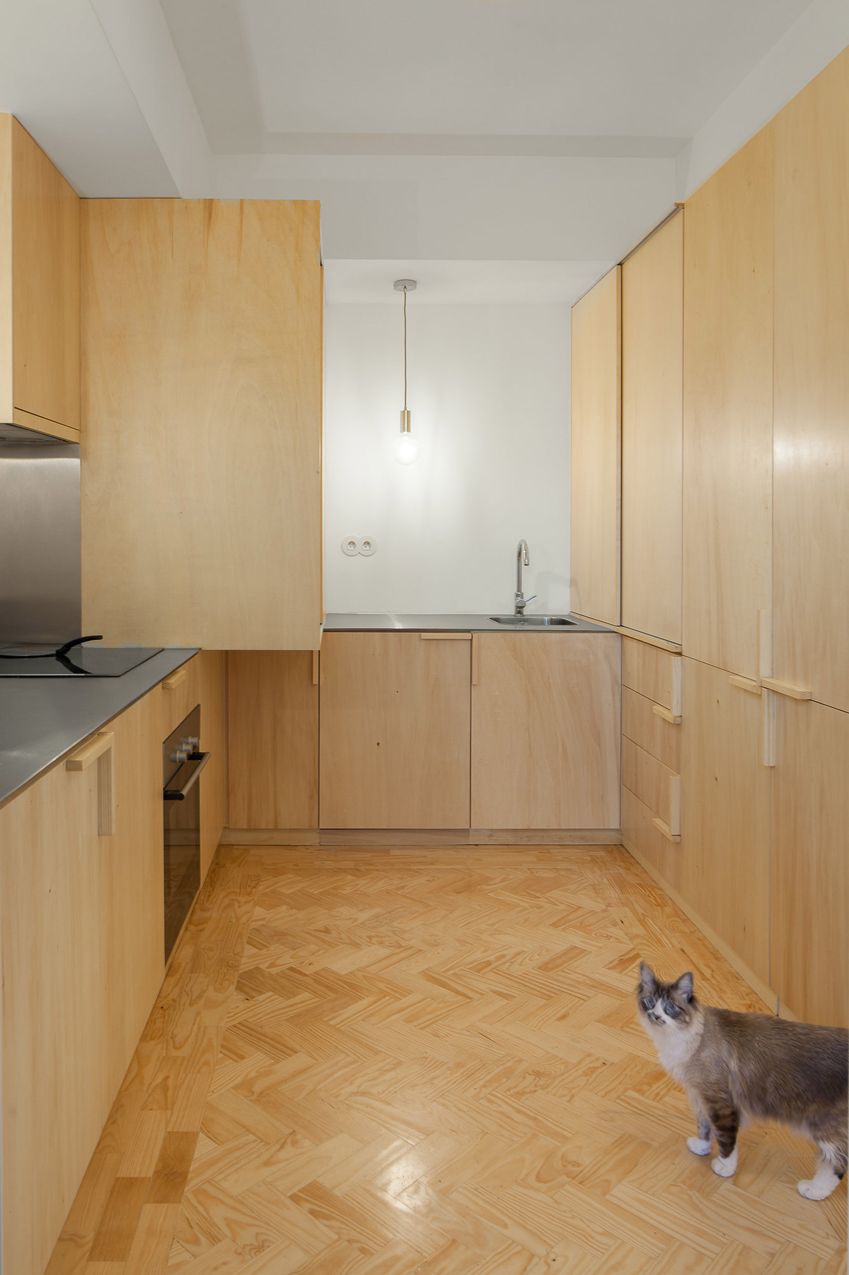 Cubículo Arquitectos installs birch-plywood storage units inside Porto flat-10