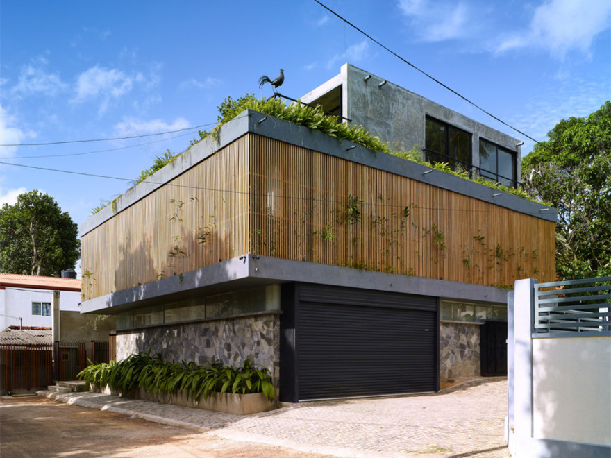 斯里兰卡屏风雕塑屋丨Anushka Dassanayake-3