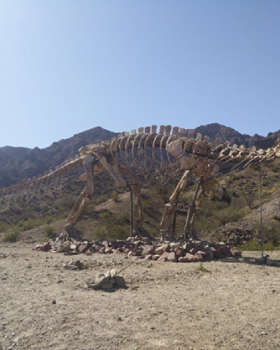Ischigualasto Park, Argentina(2022)
