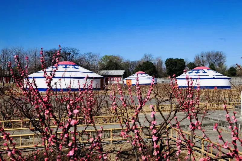 圆明园蒙古包的复原工作-44