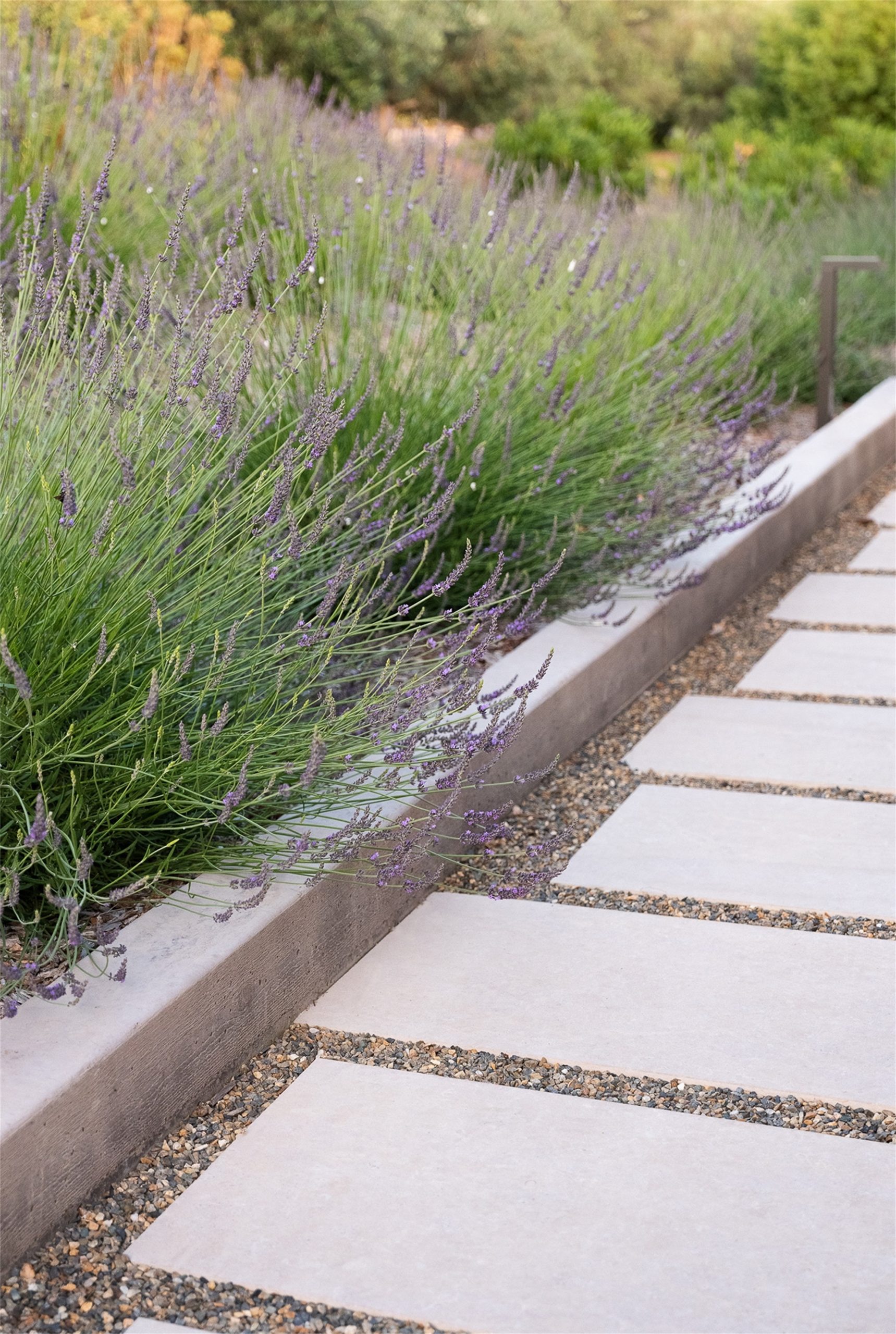 自然生长 · 私宅景观丨美国加利福尼亚-14