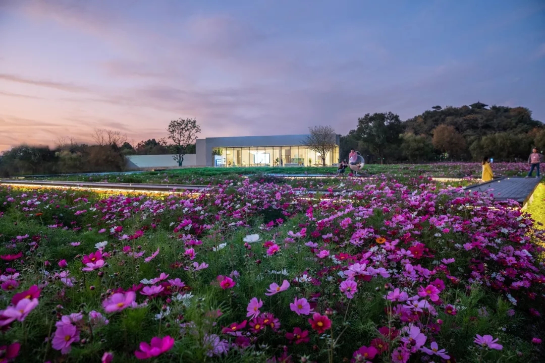 宁波奥克斯 · 繁花里示范区景观-31