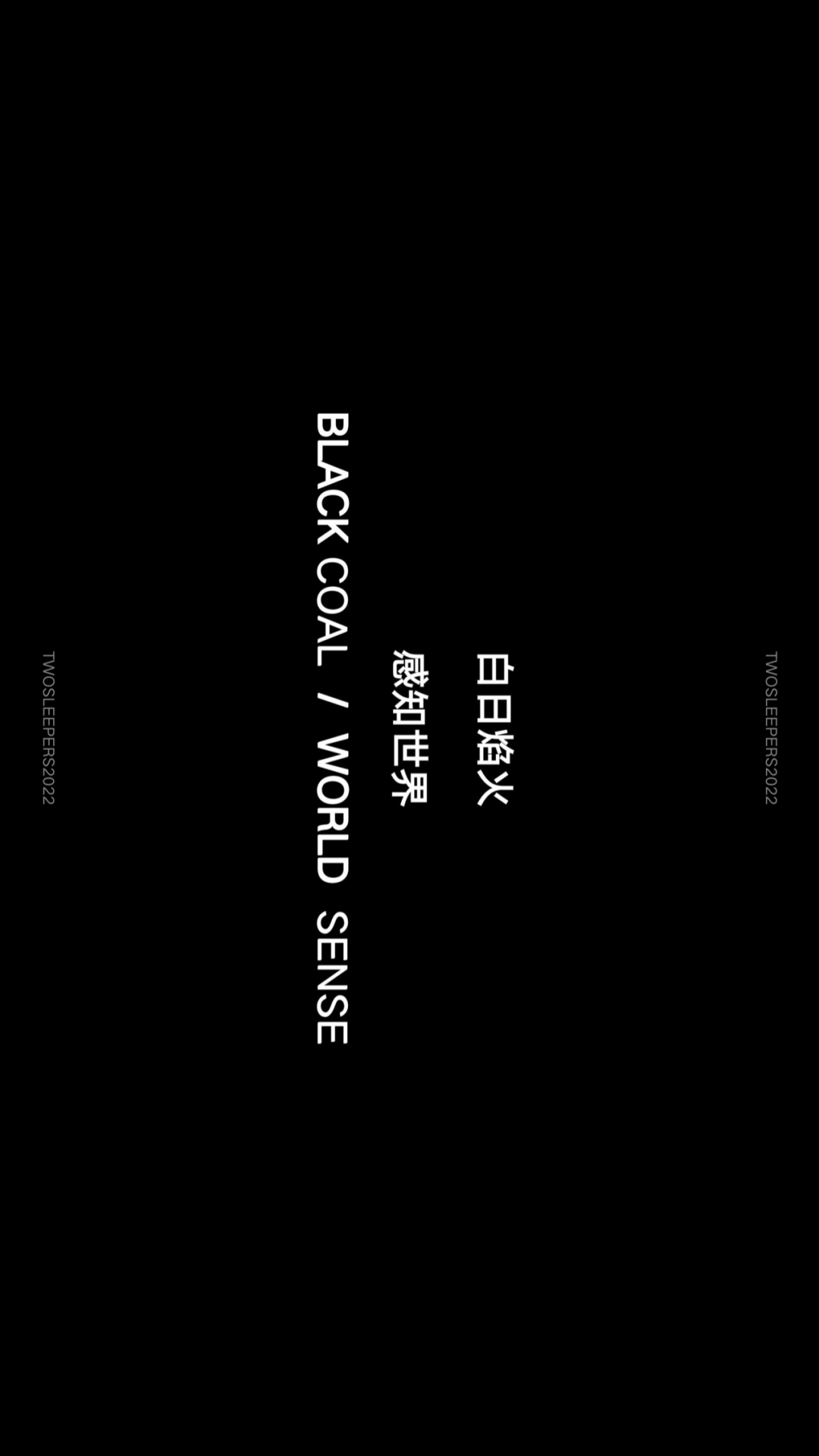 白日焰火 black coal-6