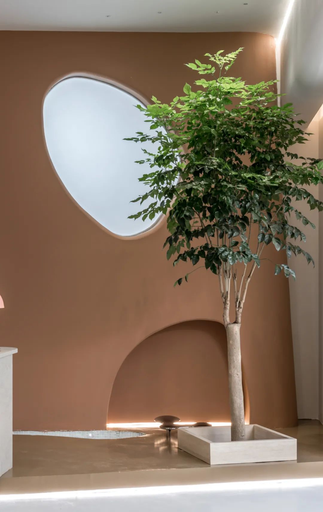 自然美学甜品店丨末那识-0