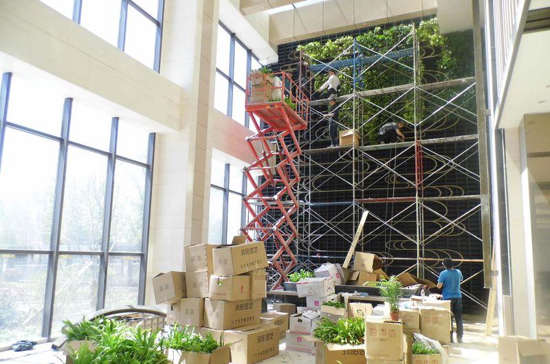 天水 财富阳光酒店-植物墙-2