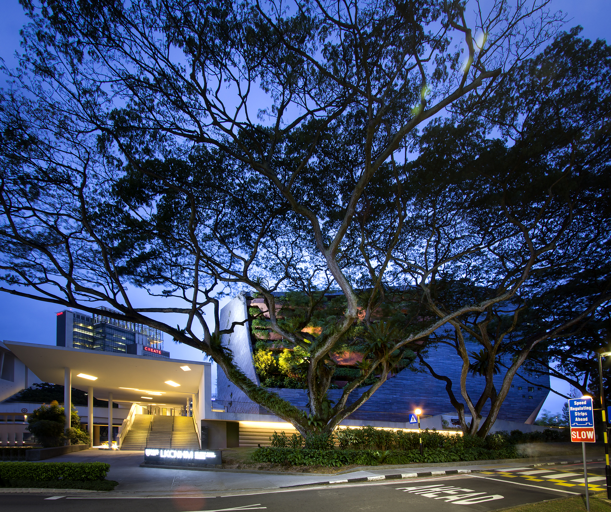 李光前自然历史博物馆丨新加坡丨Tierra Design (S) Pte Ltd-24