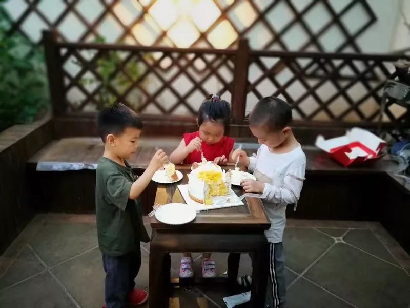 园艺生活，城市小菜园的诗意设计-17