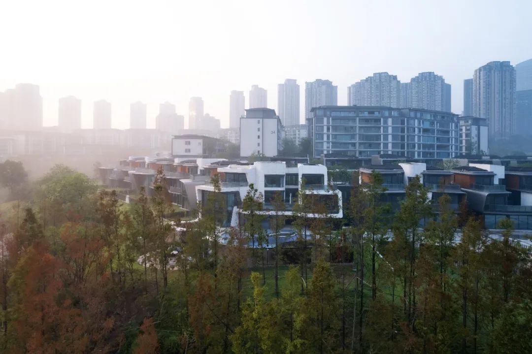 香港置地·天湖岛丨中国重庆丨重庆犁墨景观规划设计咨询有限公司-20