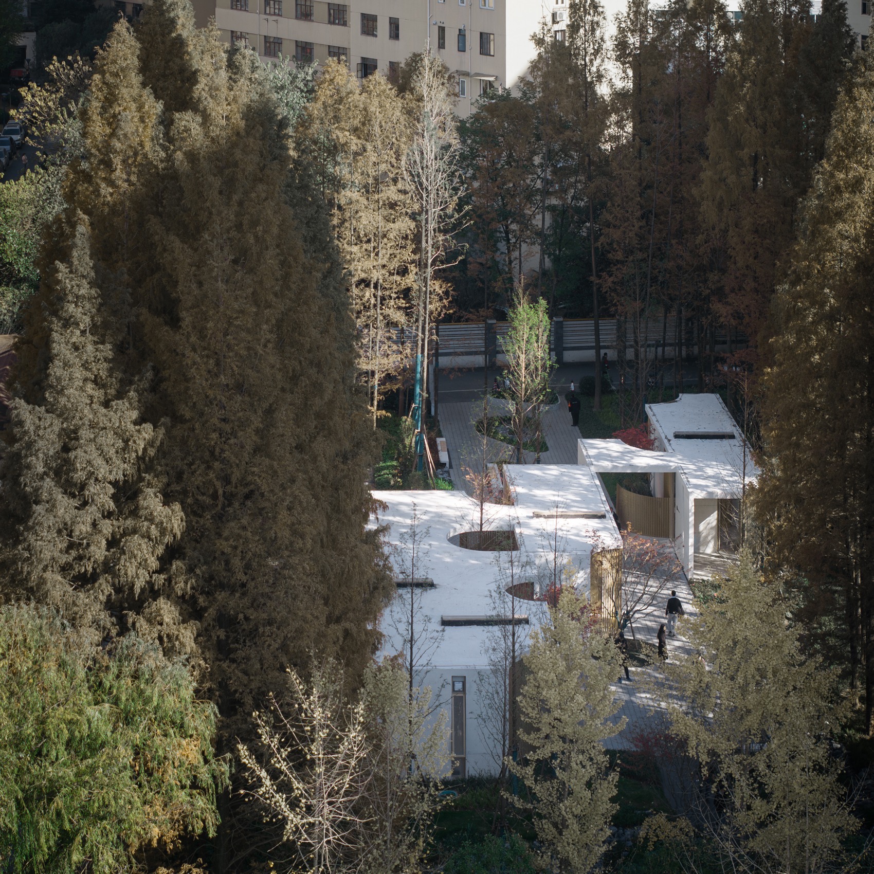 上海田林公园游客服务中心丨中国上海丨VIA维亚景观-12