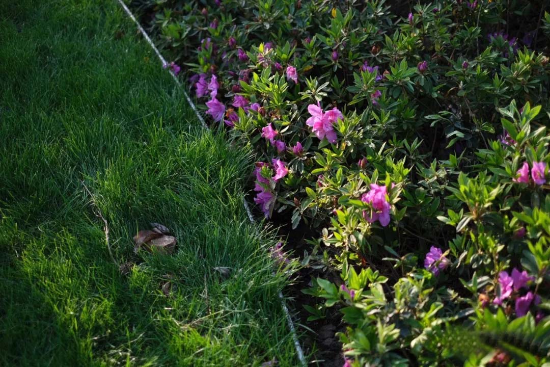 苏州森鹿公园丨中国苏州丨合展设计-22