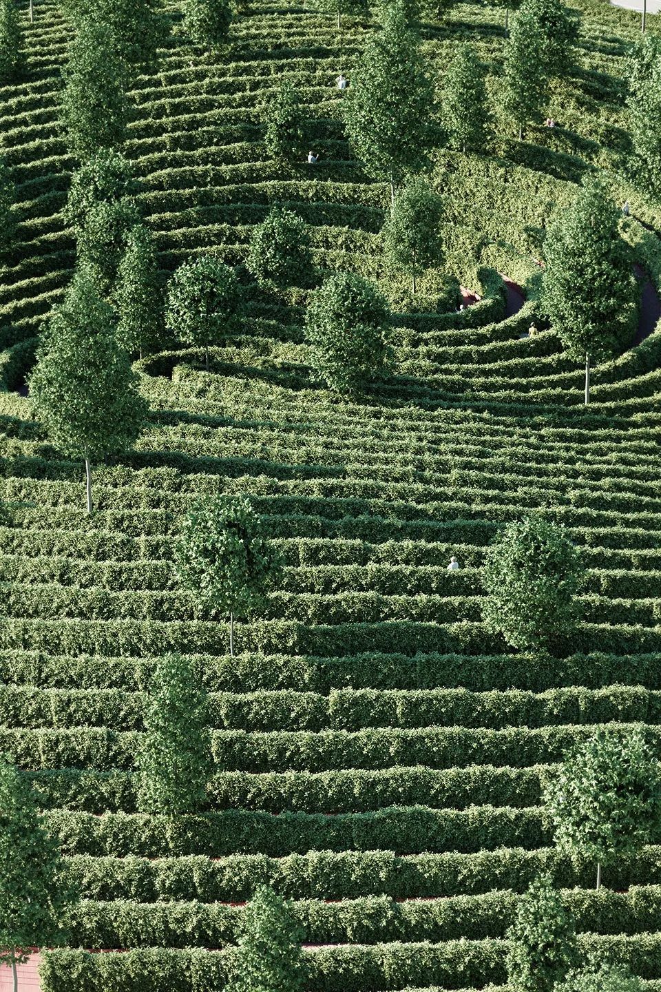 疫情下的公园设计 - 距离公园，维也纳 / Studio Precht-33