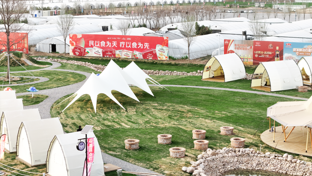 青来计划·蘑菇点灯，让每一座乡村找到自己的光|中青博纳|印文设计-50