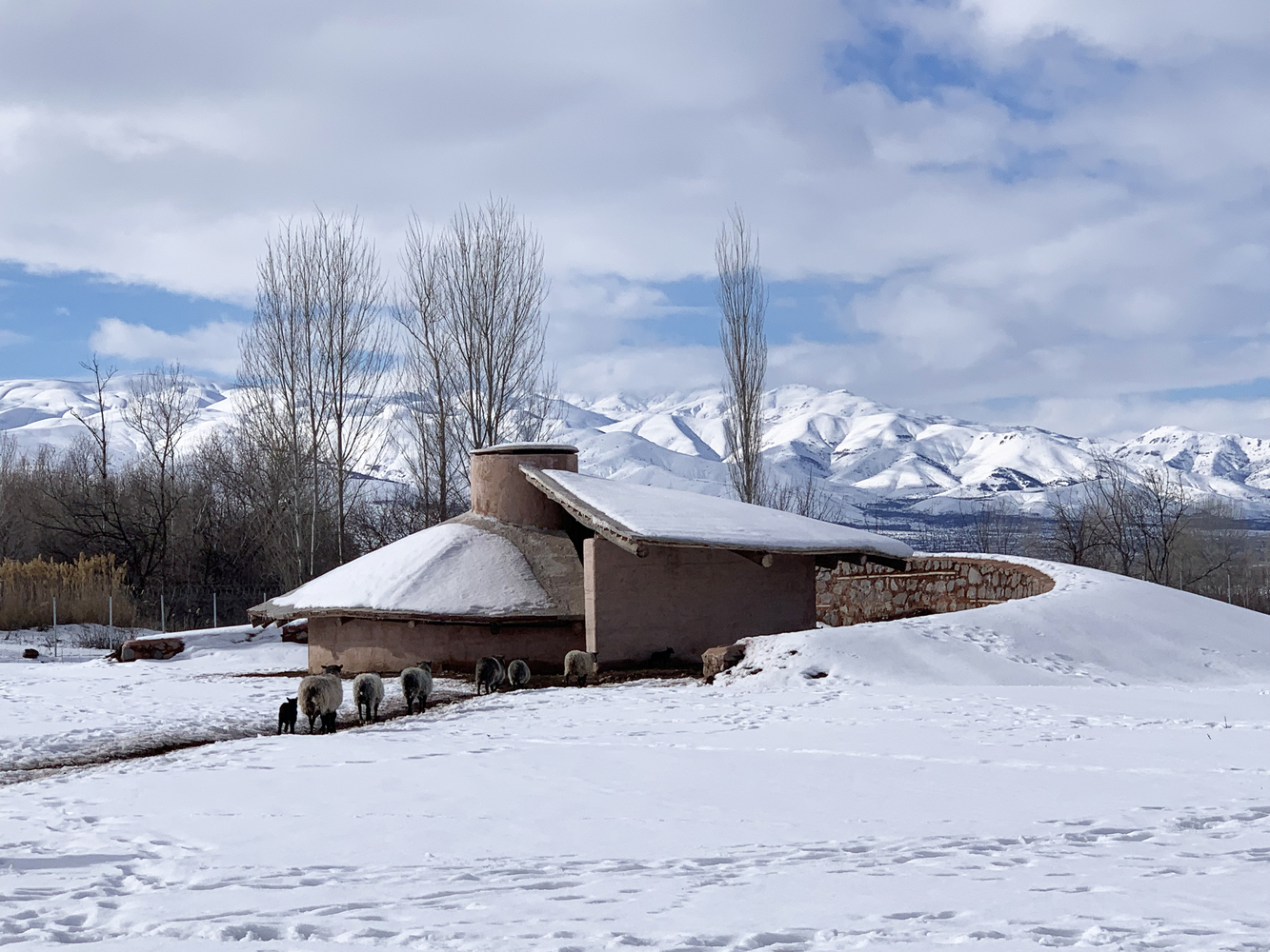 土耳其 Palanga Goat Shelter丨Erginoğlu & Çalışlar Architects-11