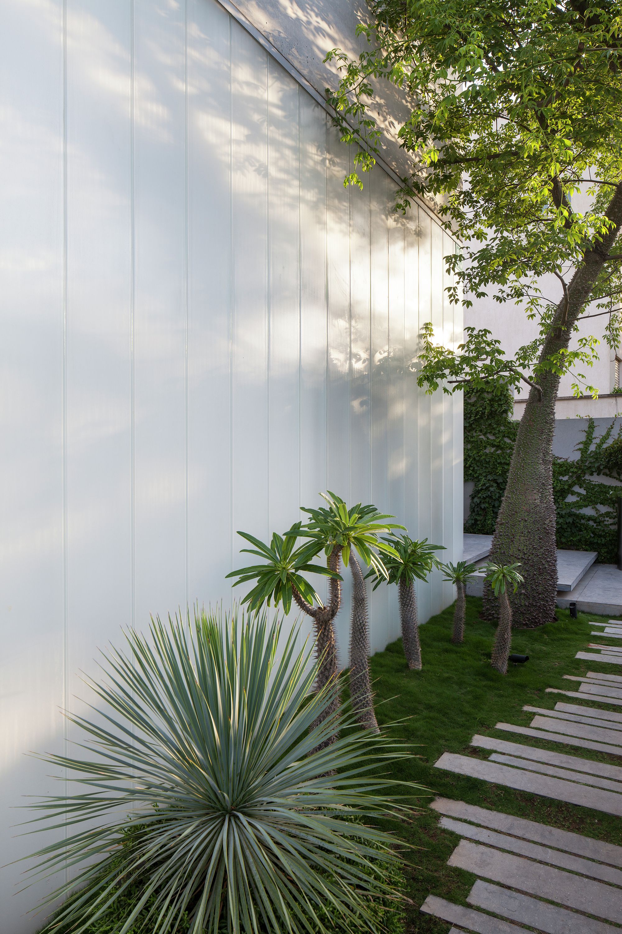 割裂与连接 | 混凝土与玻璃的共生之作-36