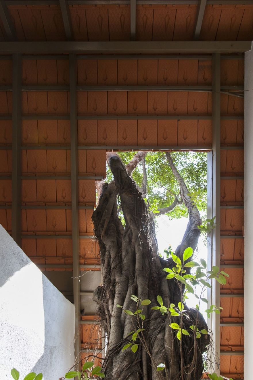 绿意盎然,Binh Duong 别墅的环保设计-14