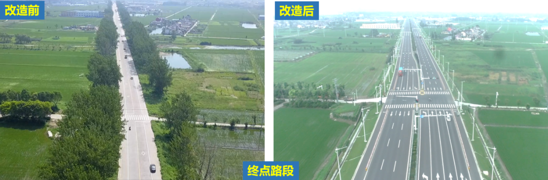 【林李精品】匠心筑路，赋能泰州——姜高公路改扩建工程荣耀纪实-19
