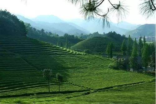 农贸市场设计案例｜乡镇市场的谋新之路——所前农贸市场！-21