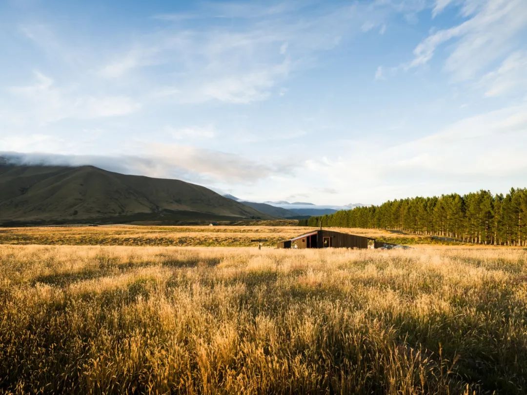 新西兰 50 平米云雀木屋丨勾勾手设计网-28