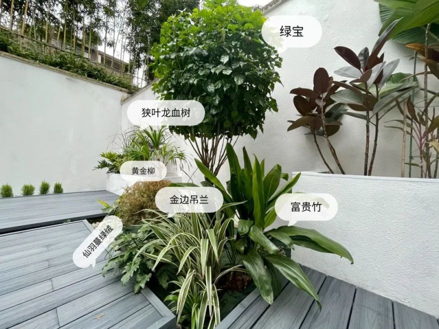 一个没有花的花园,全是绿植的高颜值花园改造,太美了-8