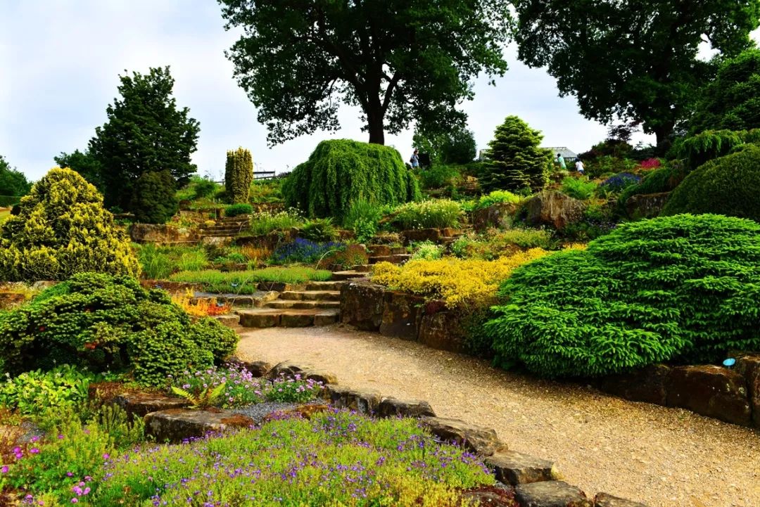 花境植物配置的艺术 | 四季美景尽收眼底-20