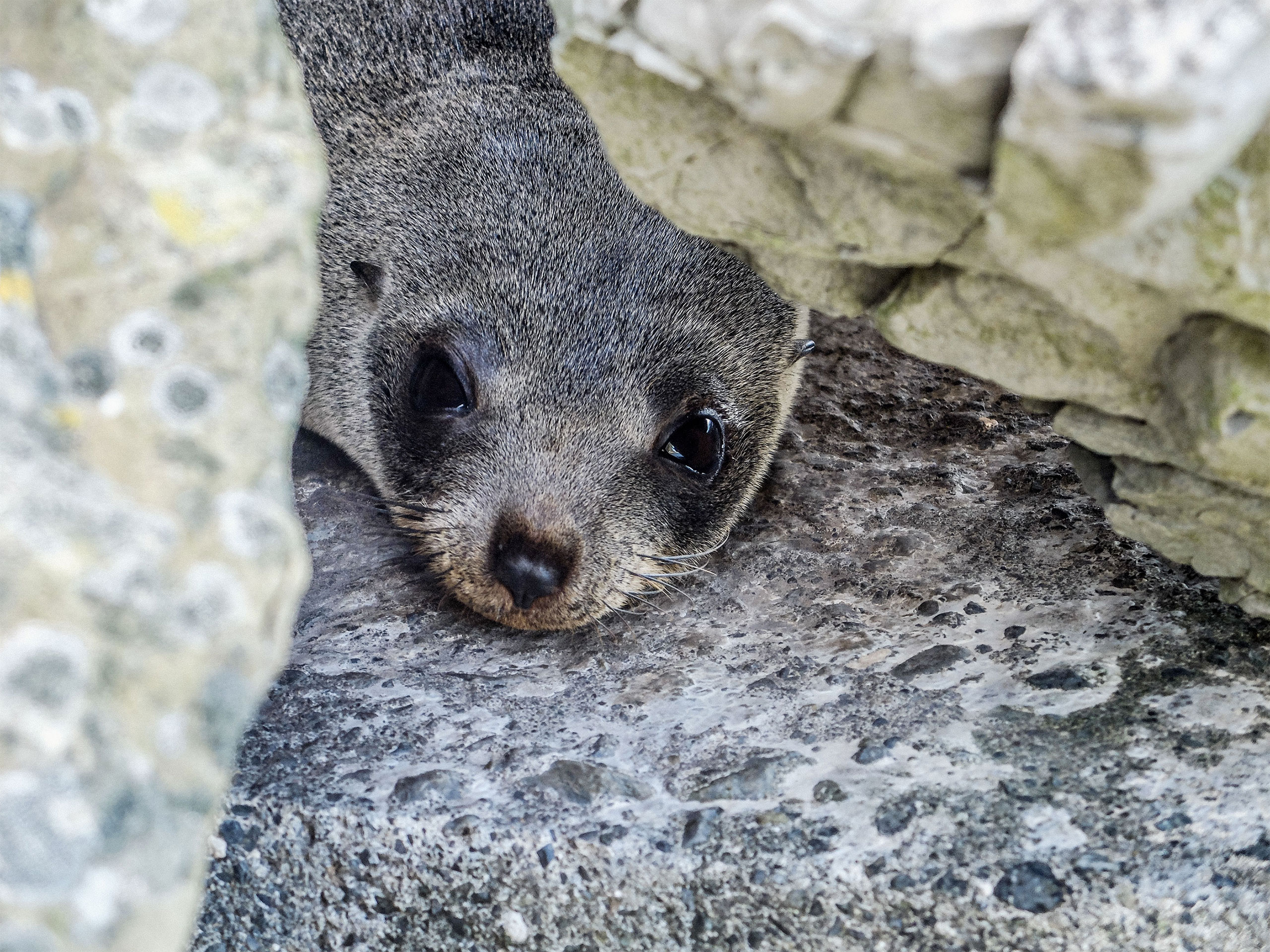 摄影大师的旅行画卷 | Isabella Thaller 的 Voyage-49