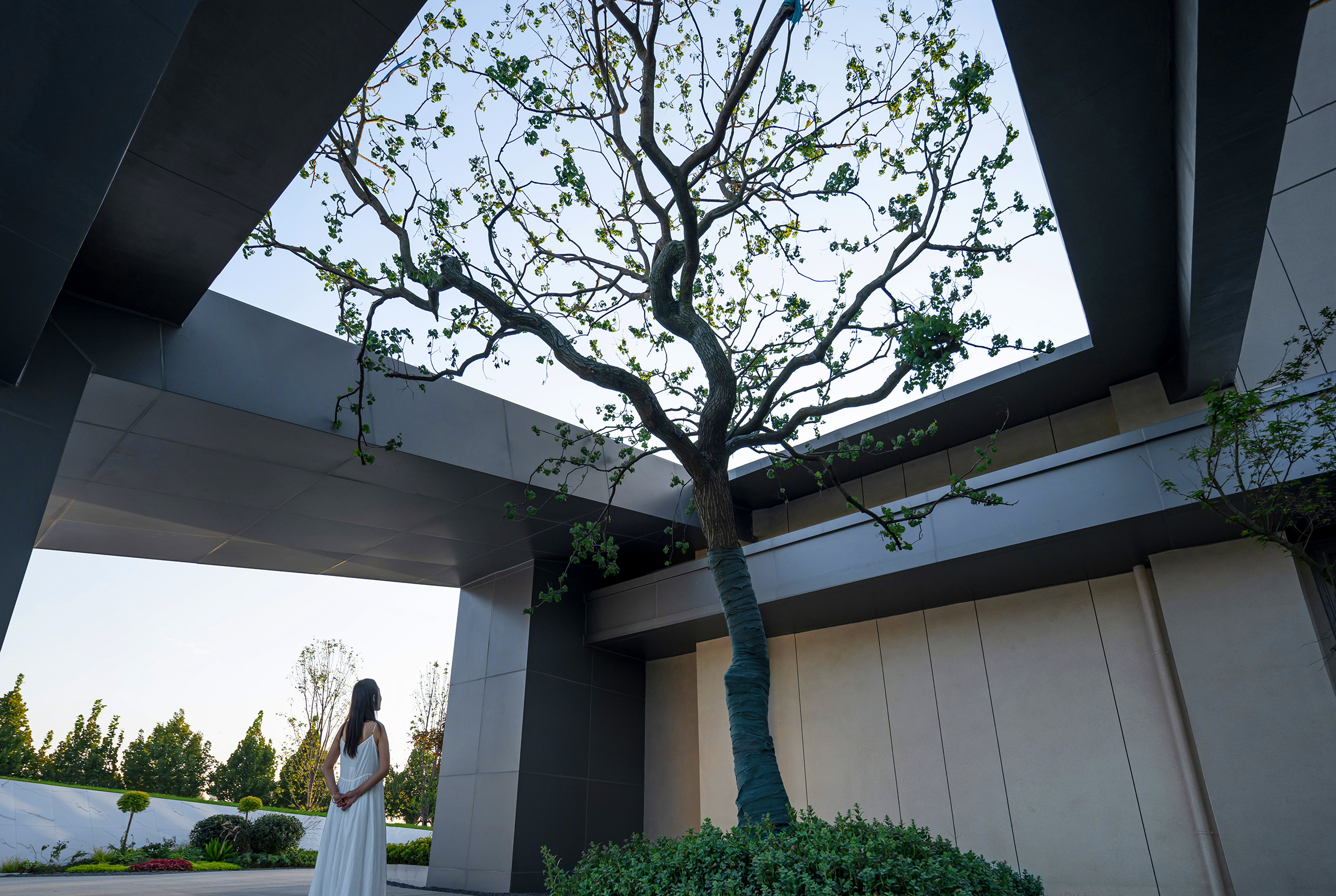 乐陵·天泰城（示范区）-26