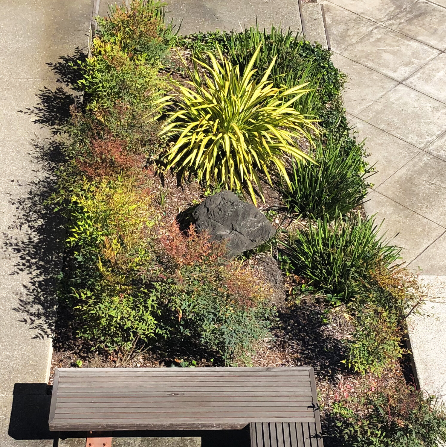 丨美国丨David Baker Architects等-28