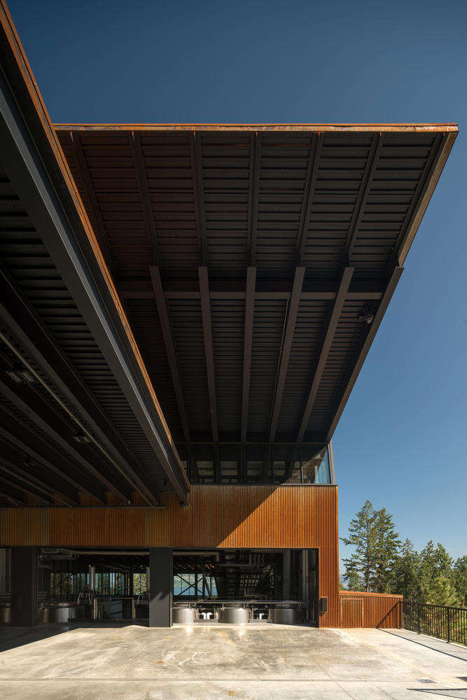 马丁巷酒庄·冯·曼德尔家族的重力酿酒传奇-41