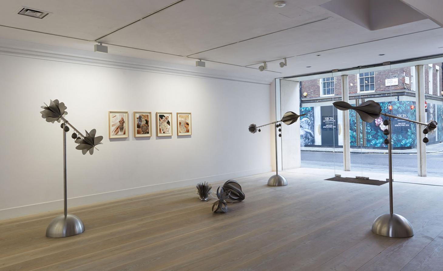 平衡世界中的生命奥秘·卡利奥皮·莱莫斯个展-19