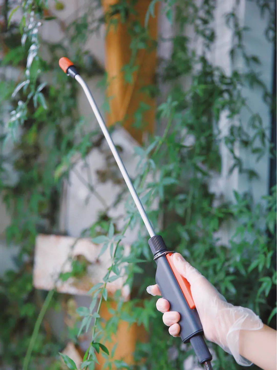 5㎡小阳台，打造治愈系小花园-72