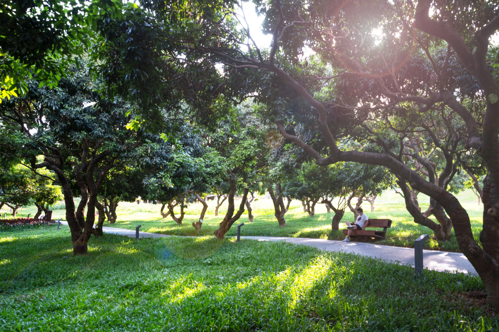 深圳西丽生态公园-12