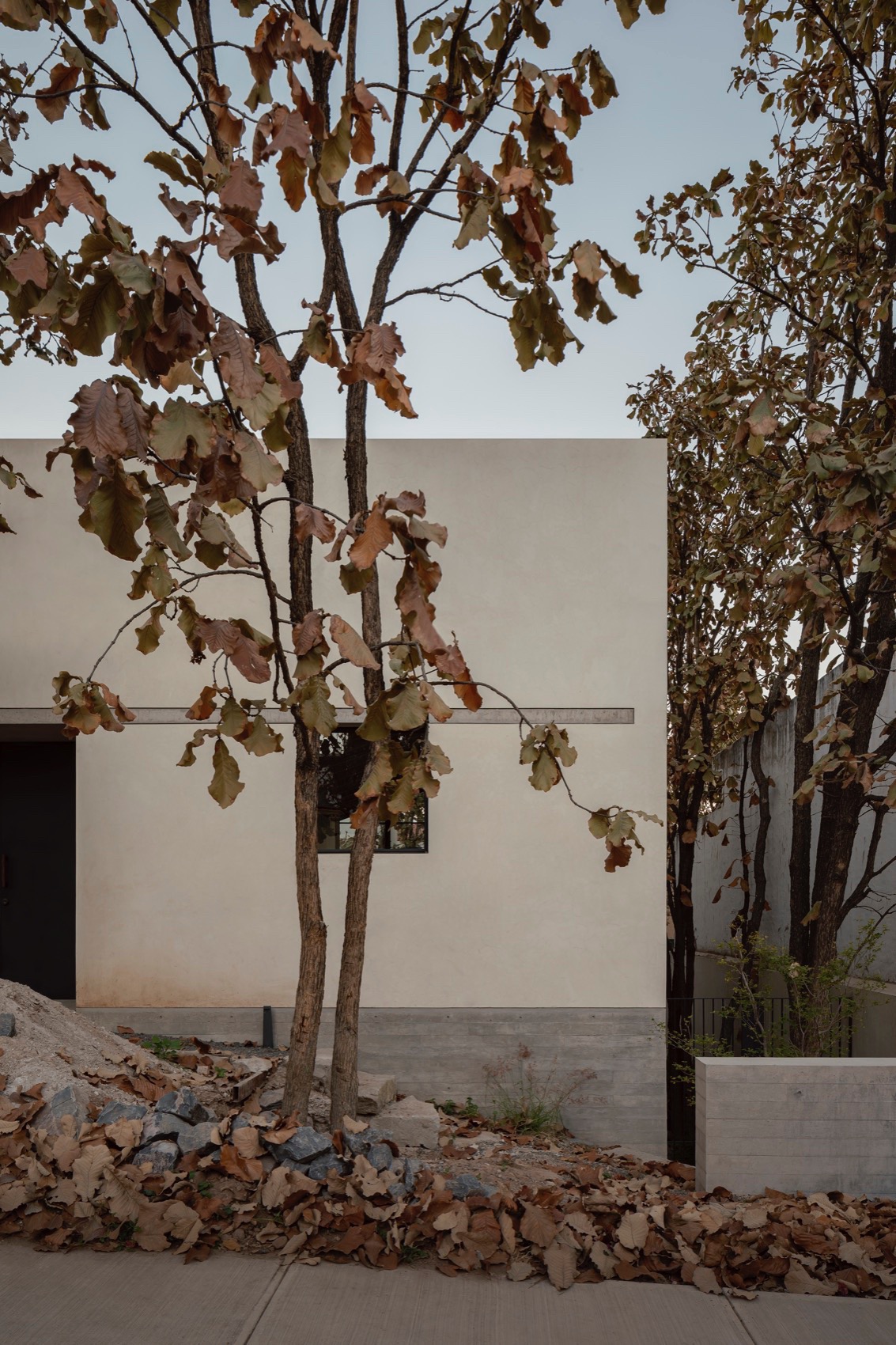 Caribu 住宅丨墨西哥丨Taller Tequio-18