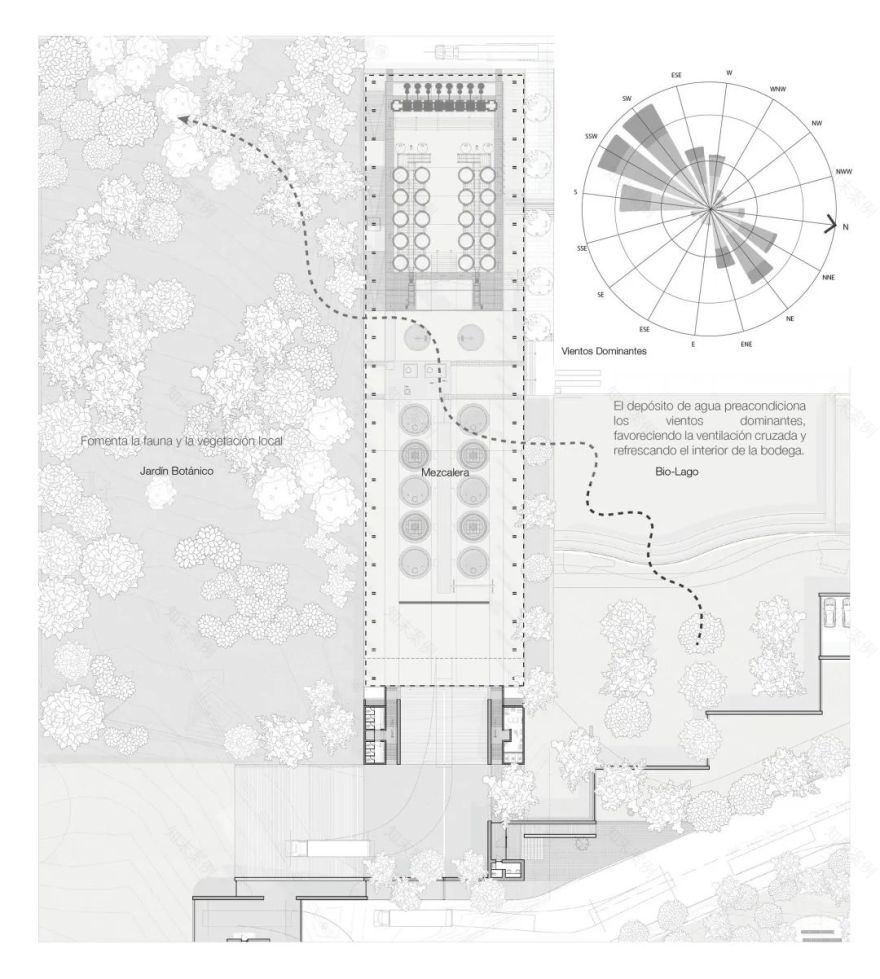 酒庄丨墨西哥丨Estudio MMX-49